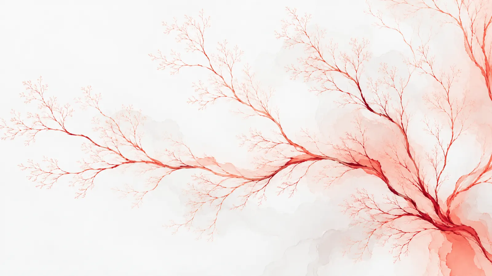 Fine coral and crimson branching lines spreading like a delta across a cool white field
