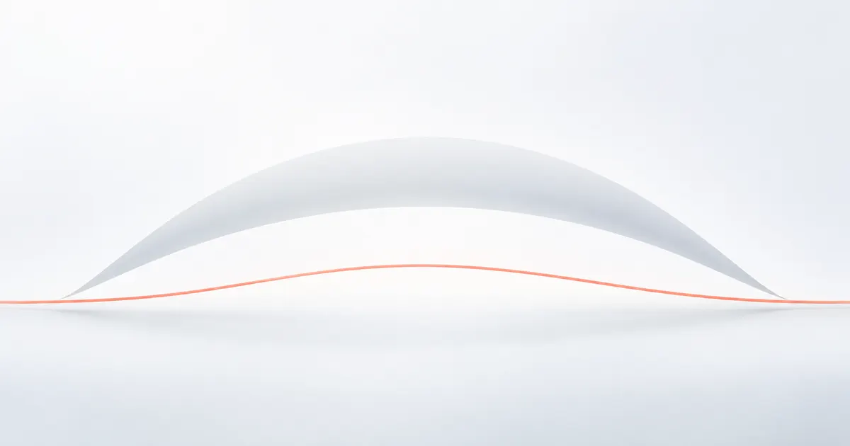 A smooth pale curved shield resting over a thin coral line